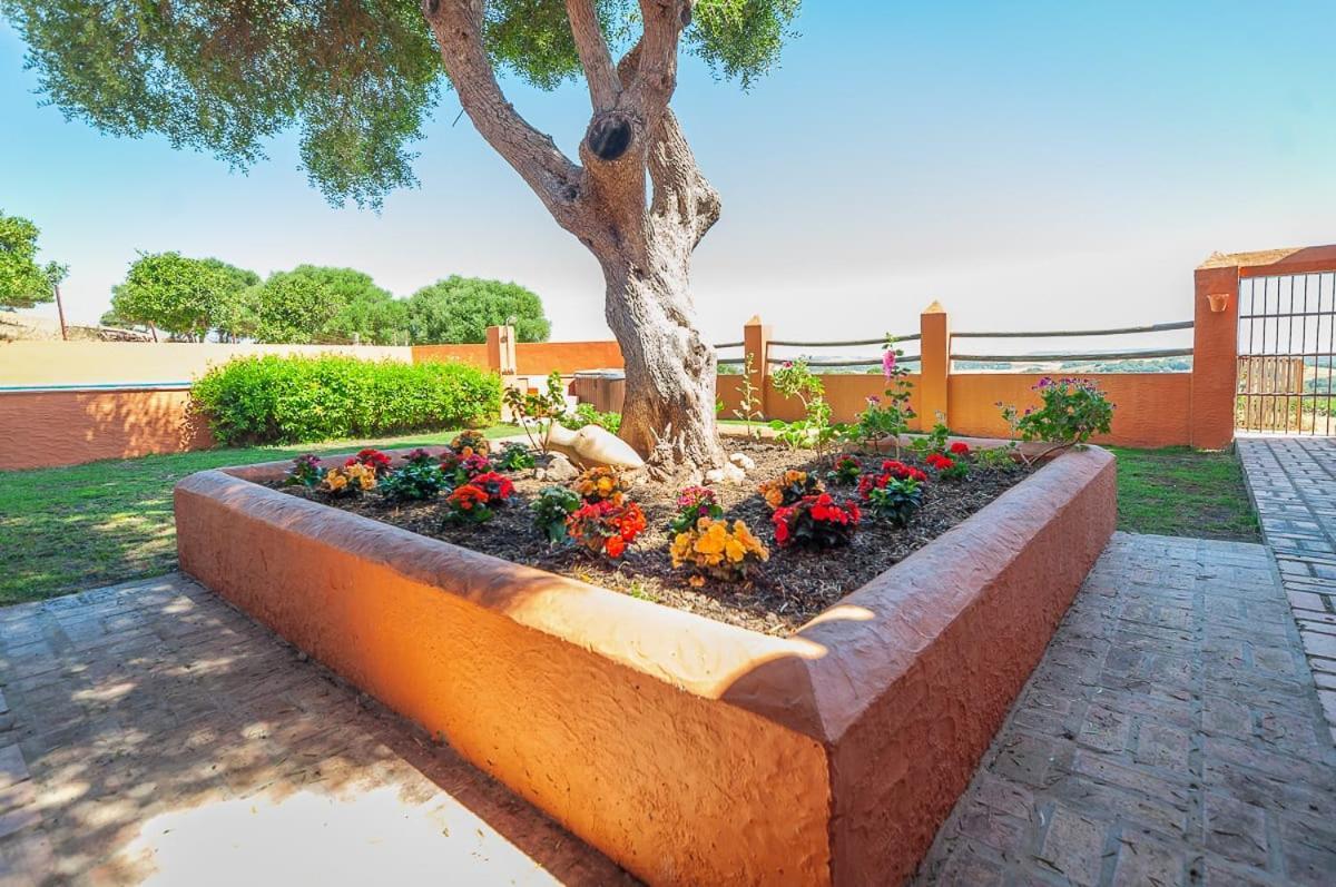 La Casa Del Torero Vejer de la Frontera Eksteriør billede