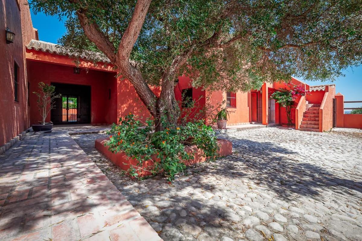 La Casa Del Torero Vejer de la Frontera Eksteriør billede